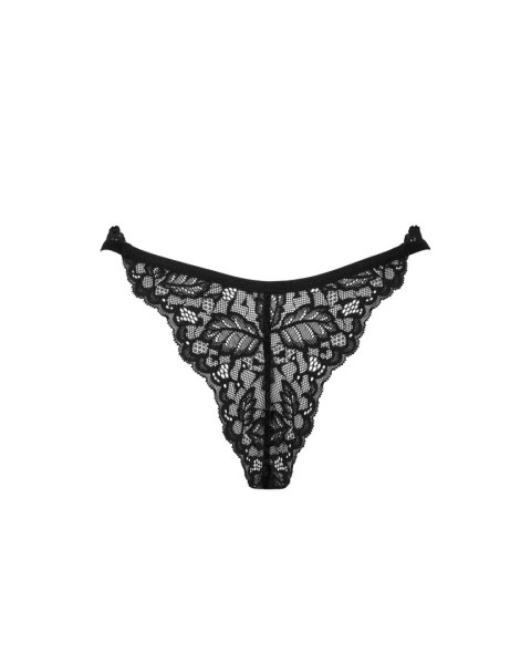 Stringi Bellastia Stringi Bellastia