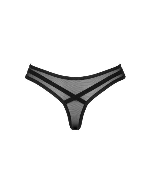 Stringi Roxelia Stringi Roxelia
