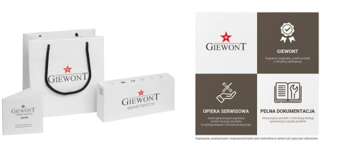 Smartwatch GIEWONT Vertex SmartCall GW450-6 Silver/Brown Leather