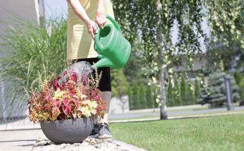 KONEWKA PLASTIKOWA 5L SPRING - ZIELONY PROSPERPLAST KONEWKA PLASTIKOWA 5L SPRING - ZIELONY PROSPERPLAST