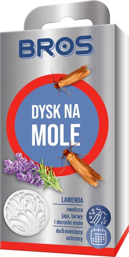 DYSK NA MOLE LAWENDA BROS DYSK NA MOLE LAWENDA BROS