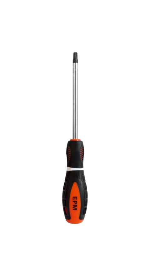 WKRĘTAK TORX SERIA M3 5*100MM T20 EPM WKRĘTAK TORX SERIA M3 5*100MM T20 EPM