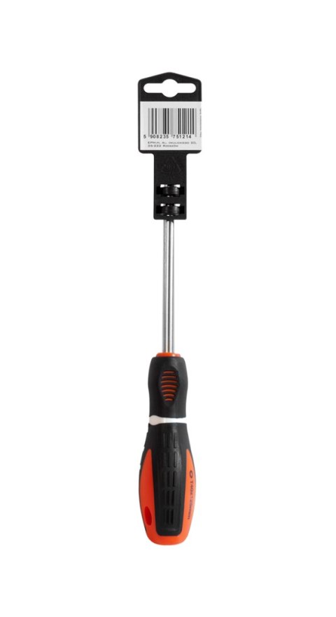 WKRĘTAK TORX SERIA M3 5*100MM T20 EPM WKRĘTAK TORX SERIA M3 5*100MM T20 EPM
