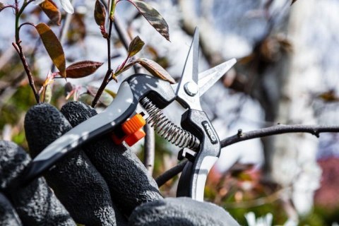 SEKATOR DO MŁODYCH PĘDÓW 185MM ZAKRES DO 6MM. NEO