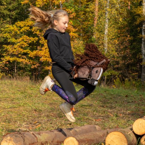 Kasztanowaty konik hobby horse duży A3 kantar HH Kasztanowaty konik hobby horse duży A3 kantar HH