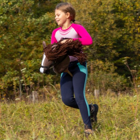Kasztanowaty konik hobby horse duży A3 kantar HH Kasztanowaty konik hobby horse duży A3 kantar HH