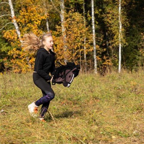 Konik na kiju z kantarem - Hobby Horse Skippi - Gniady - A3 - prezent Konik na kiju z kantarem - Hobby Horse Skippi - Gniady - A3 - prezent