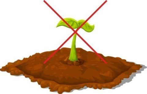 Agrotkanina Ściółkarska na Chwasty UV P-70 1,1x100m Czarna Agrotkanina Ściółkarska na Chwasty UV P-70 1,1x100m Czarna