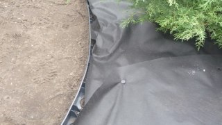 Agrowłóknina Czarna P-45 UV 1,6m x 30mb AgroPol