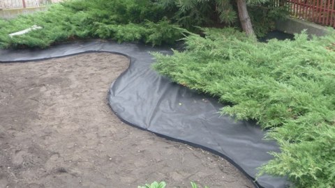 Agrowłóknina Czarna P-45 UV 1,6m x 80mb AgroPol Agrowłóknina Czarna P-45 UV 1,6m x 80mb AgroPol