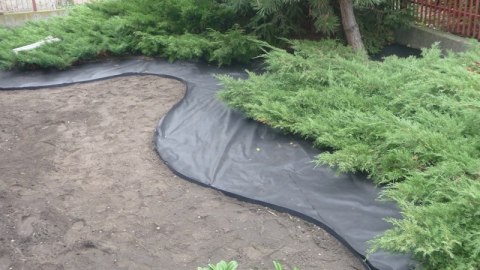 Agrowłóknina Czarna P-50 UV 1,6m x 100mb AgroPol Agrowłóknina Czarna P-50 UV 1,6m x 100mb AgroPol
