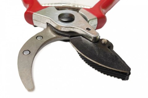 Sekator Ogrodowy 21 cm Sekator Ogrodowy 21 cm