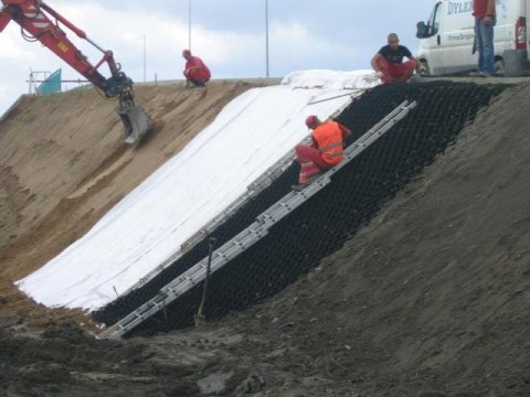 Szpilka Metalowa 50cm do Mocowania Geokraty Szpilki