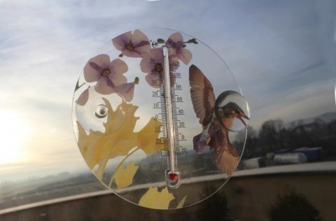 Termometr Zewnętrzny Ozdobny Okrągły 16,5cm Ptaki i Kwiaty Termometr Zewnętrzny Ozdobny Okrągły 16,5cm Ptaki i Kwiaty