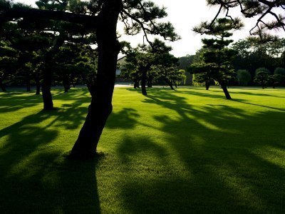 Trawa Cieniolubna Do Cienia GF Grass Shady 25kg Trawa Cieniolubna Do Cienia GF Grass Shady 25kg