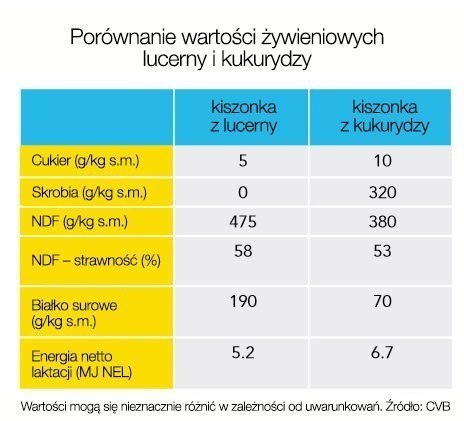 Trawa Lucerna + Koniczyna Barenbrug BG-12 Lucerne Plus YellowJacket 15kg