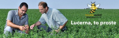 Trawa Lucerna + Koniczyna Barenbrug BG-12 Lucerne Plus YellowJacket 15kg