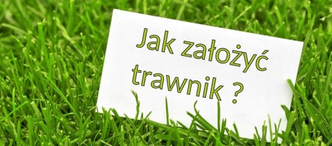 Trawa Odporna na Suszę Trawnik Polski Desert 0,9kg Trawa Odporna na Suszę Trawnik Polski Desert 0,9kg