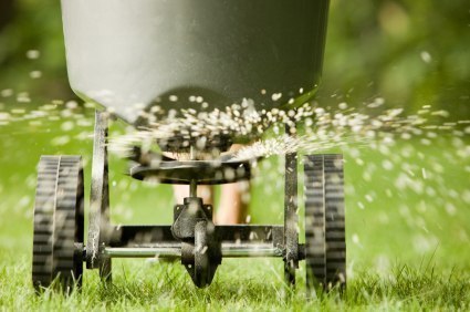 Trawa Regeneracyjna GF Grass Regeneration 1kg Trawa Regeneracyjna GF Grass Regeneration 1kg