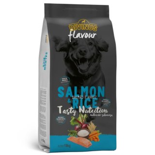 Divinus FLAVOUR łosoś z ryżem 18 kg