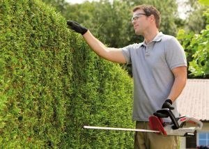 Nożyce Akumulatorowe do Żywopłotu AL-KO HT 18 V LI